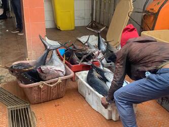 <b>WhatsApp Image 2025-12-02 at 15.26.01</b>